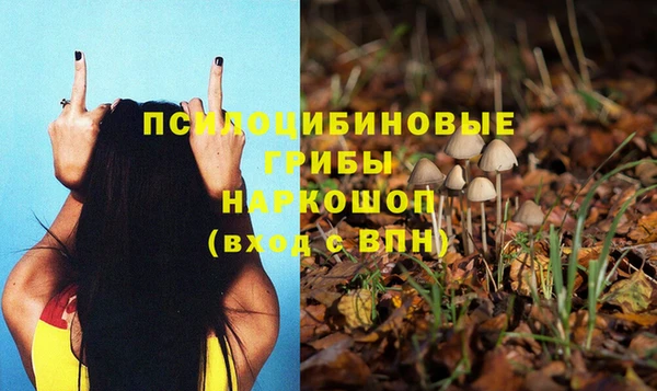 mix Долгопрудный