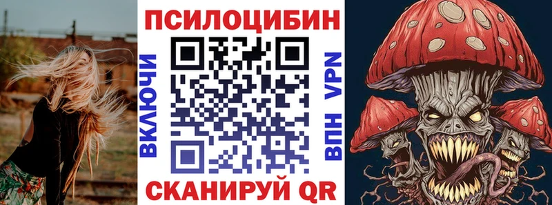 kraken ССЫЛКА  Кириллов  Галлюциногенные грибы GOLDEN TEACHER 